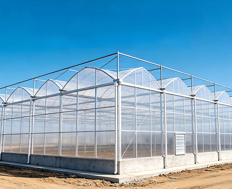 Estufa vegetal com estrutura de a&ccedil;o